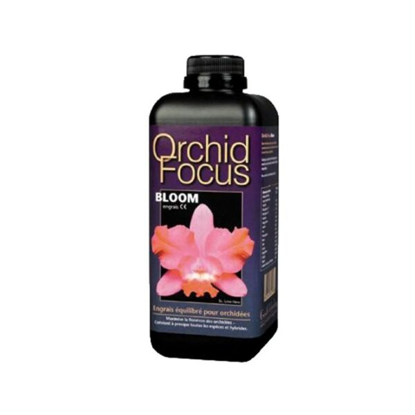 gwt-orchid-focus-bloom-300ml