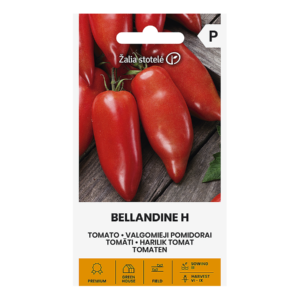 tomato-belandine-h-jpg