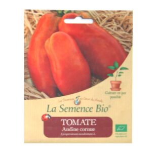 graines-bio-de-tomate-andine-cornue-20gn